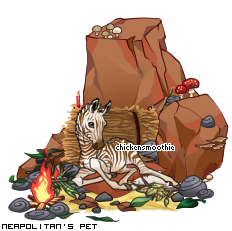 Dressed pet