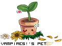 Dressed pet