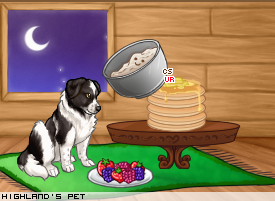 Dressed pet