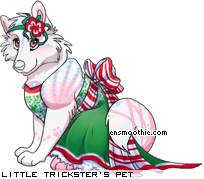 Dressed pet