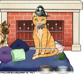 Dressed pet