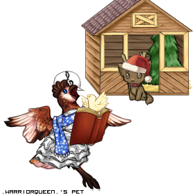 Dressed pet