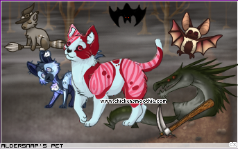 Dressed pet