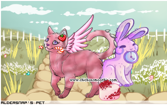 Dressed pet