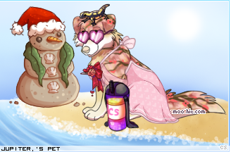 Dressed pet