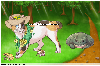 Dressed pet