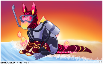 Dressed pet