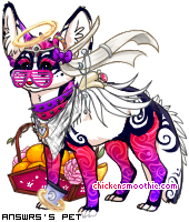 Dressed pet