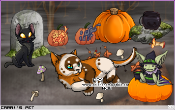 Dressed pet