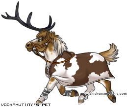 Dressed pet