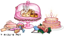 Dressed pet
