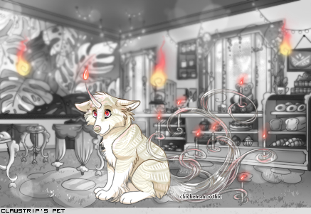 Dressed pet