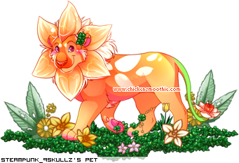 Dressed pet