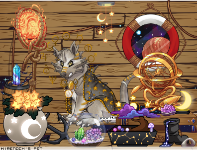 Dressed pet