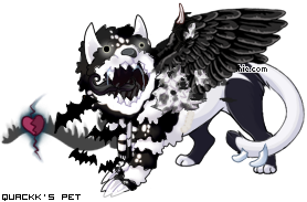 Dressed pet