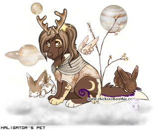 Dressed pet