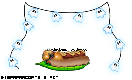 Dressed pet
