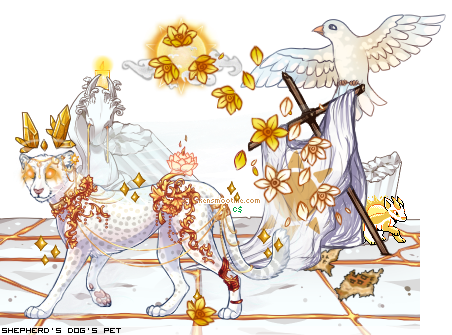 Dressed pet