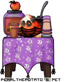 Dressed pet