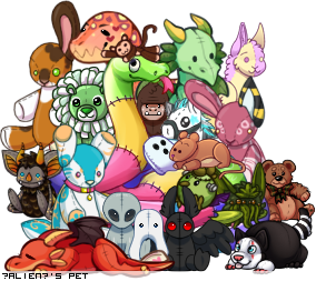 Dressed pet