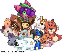 Dressed pet