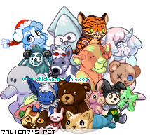 Dressed pet