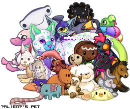 Dressed pet