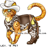 Dressed pet