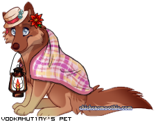 Dressed pet