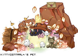 Dressed pet