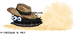 Dressed pet