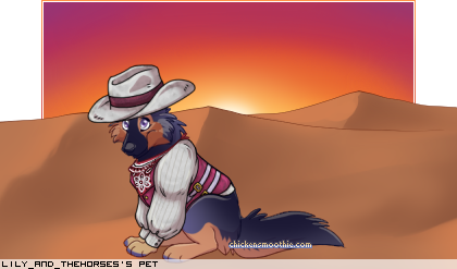 Dressed pet