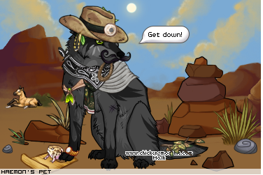 Dressed pet