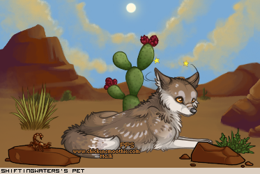 Dressed pet
