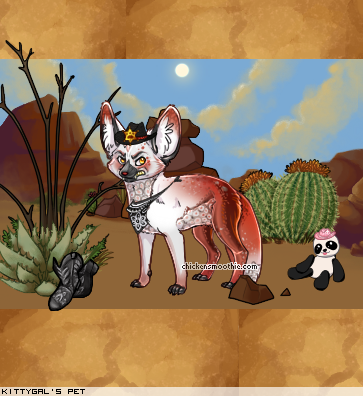 Dressed pet