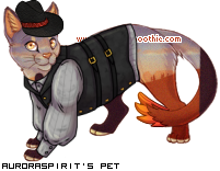 Dressed pet