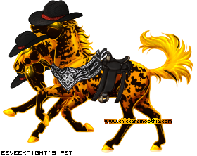 Dressed pet