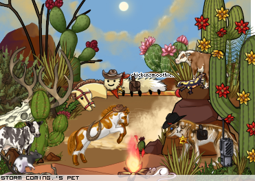Dressed pet