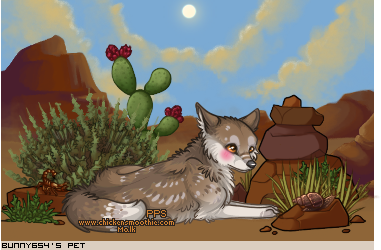 Dressed pet