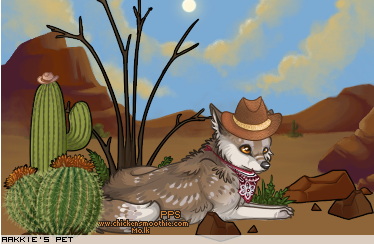 Dressed pet