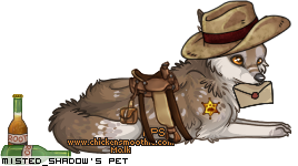 Dressed pet