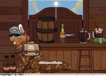 Dressed pet