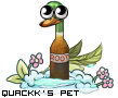 Dressed pet