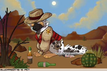 Dressed pet