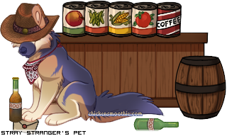 Dressed pet