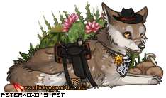 Dressed pet