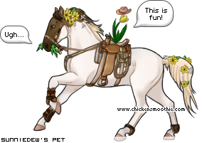 Dressed pet