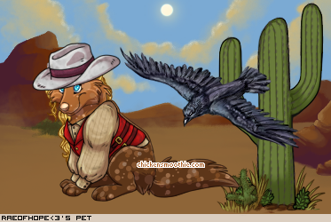 Dressed pet