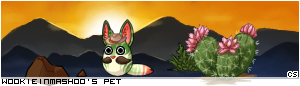 Dressed pet