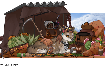 Dressed pet